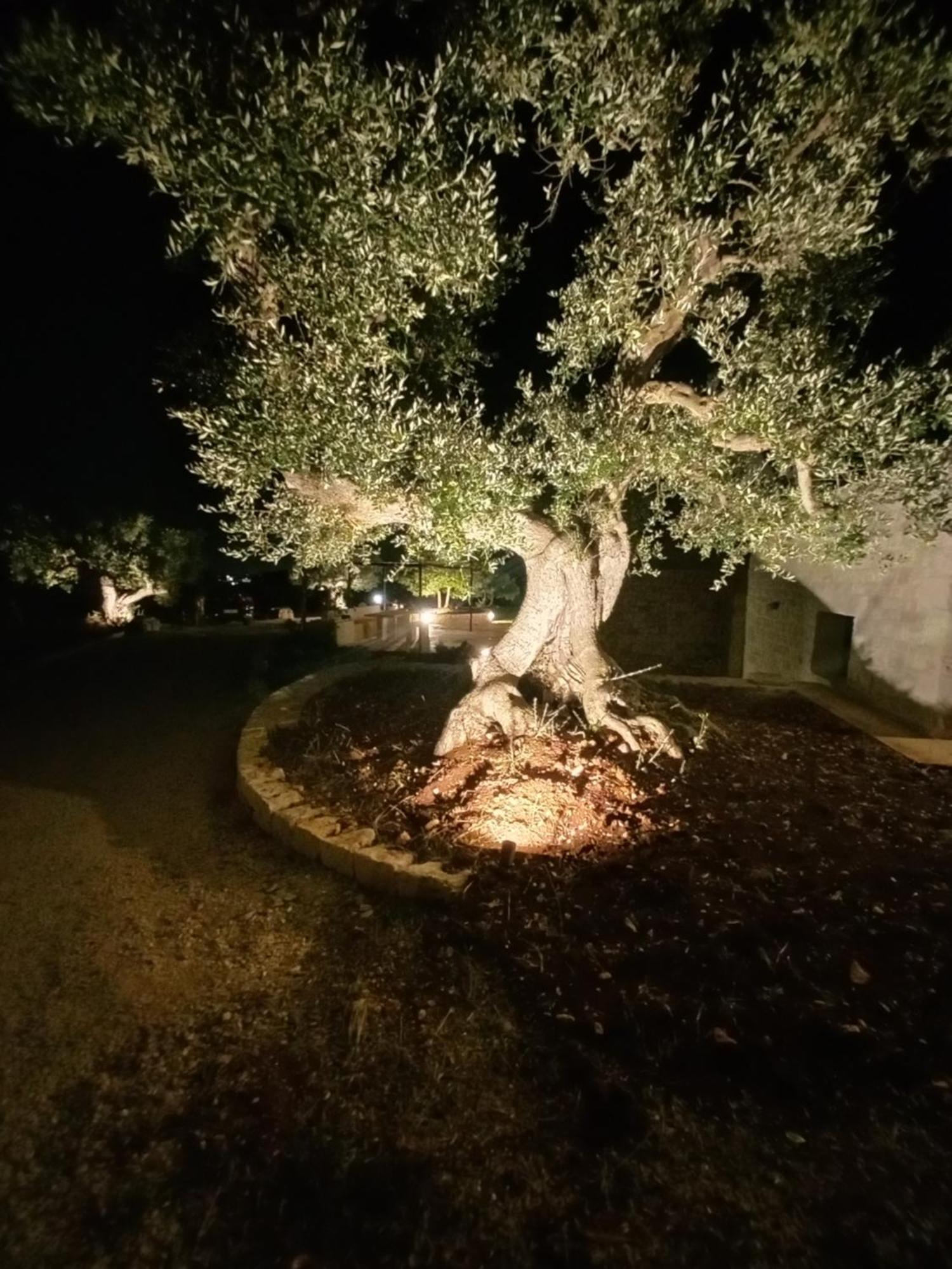 Il Nido Delle Rondini Villa Cisternino Eksteriør bilde